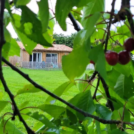 Le Wacapou Holiday home *